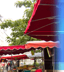 Classic Parisian café terrace with traditional chairs and tables, capturing the literary atmosphere of 1920s literary gatherings